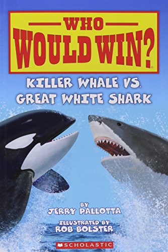 Killer whale vs. great white shark